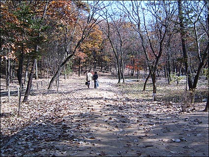 공릉 산책로를 걸으면 저절로 여유가 생긴다. 